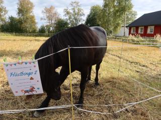 Slätten mat & mystik 2022