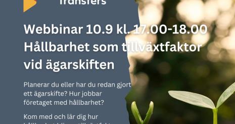 Hållbarhet som tillväxtfaktor