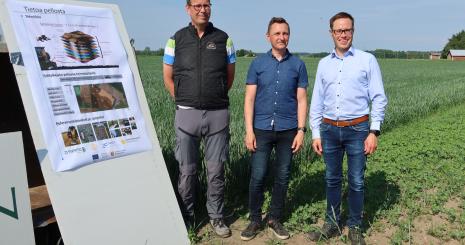 Bestämning av kolhalt i mark – metodjämförelse