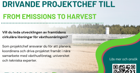 projektchef Dynamo Närpes