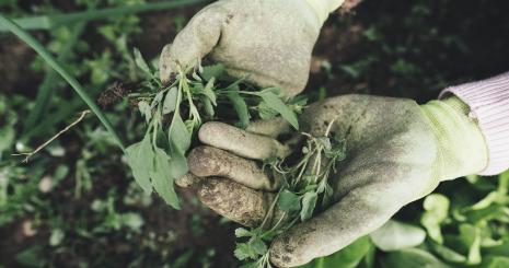 Sommarjobb på E-rekry