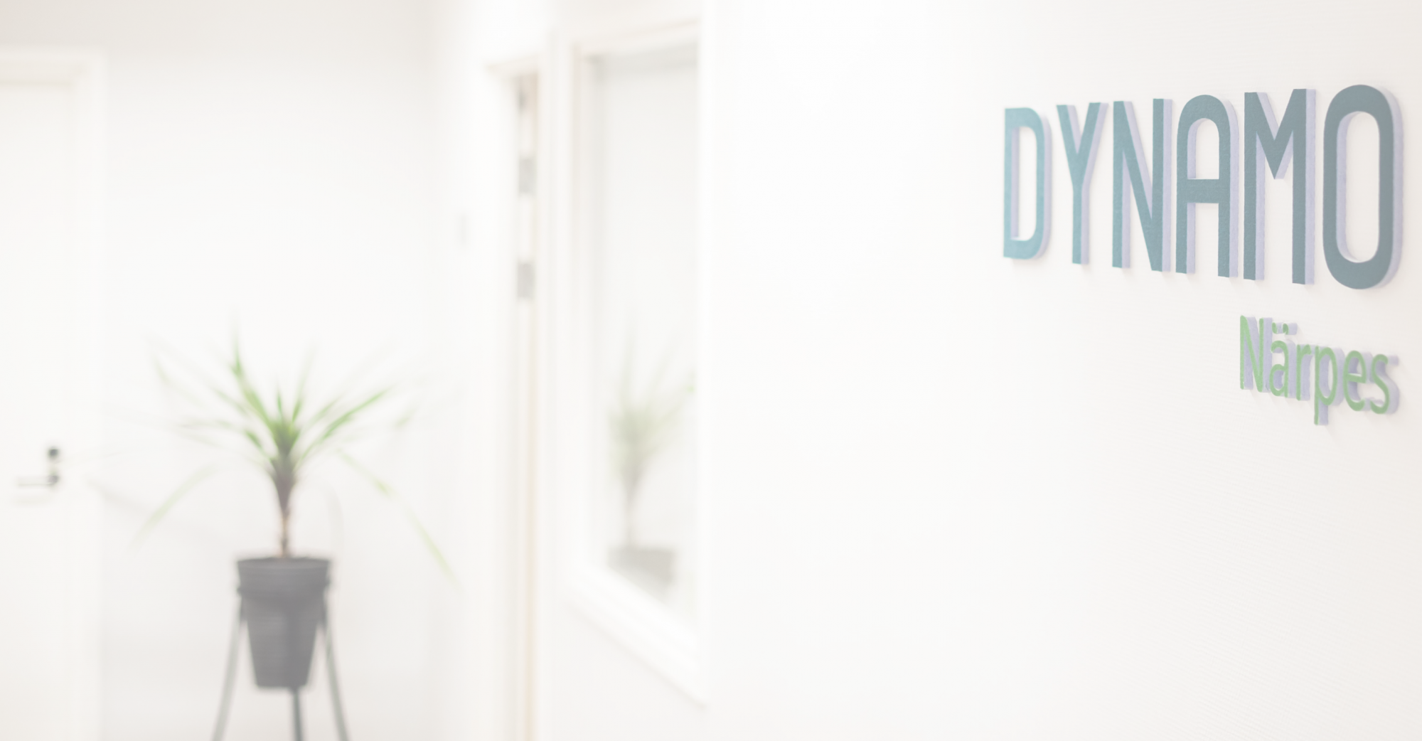 Dynamo Närpes